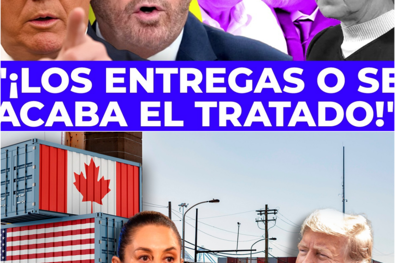 El Mega Escándalo que Paraliza a México: La DEA Acorrala a la Cúpula del Poder Mientras Sheinbaum Intenta Ocultar el Colapso Institucional y el Saqueo Histórico