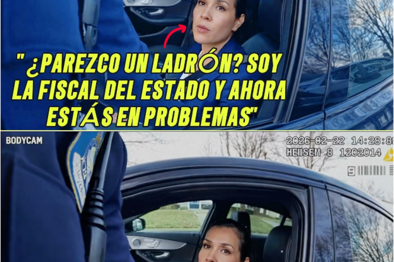 Oficial Acusa a Mujer de Robar un Mercedes… Hasta que Descubre que es la Nueva Fiscal General