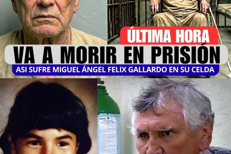 Miguel Ángel Félix Gallardo: De ‘Jefe de Jefes’ y Dueño de México a un Agónico Final Ciego, Sordo y en Silla de Ruedas