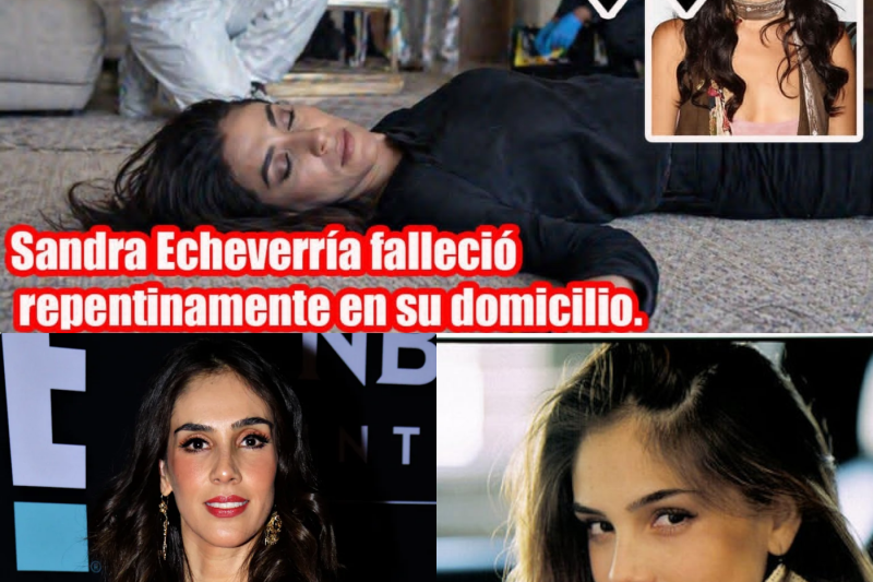Sandra Echeverría falleció repentinamente tras ser demandada por el fundador de Metaexchange.