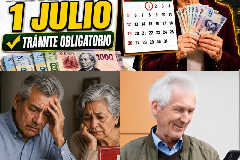Alerta IMSS: El Trámite Oculto que Puede Retener tu Pensión Ley 73 y el Secreto Legal para Ganar Más Dinero