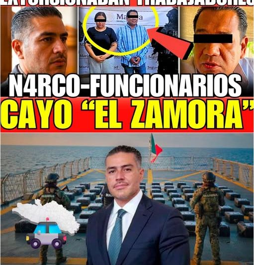 ¡HARFUCH DESTAPA la MAFIA del COBRO de PISO en ACAPULCO! Cayó Zamora Cervantes y 11 FUNCIONARIOS MÁS
