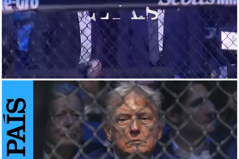 Donald Trump Celebra Sus Ochenta Años Con Un Monumental Espectáculo De Artes Marciales En La Casa Blanca
