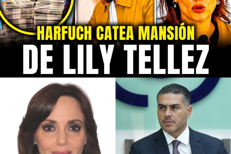 El Legado Oculto de Lilly Téllez: Mansiones, Yates y una Red de Prestanombres al Descubierto