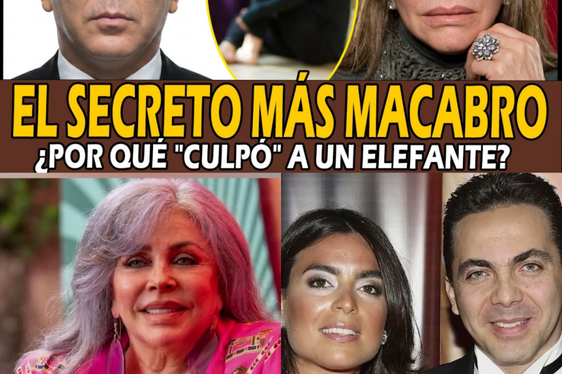 Verónica Castro: El oscuro secreto de una madre y la brutal traición que la ató a una silla de ruedas