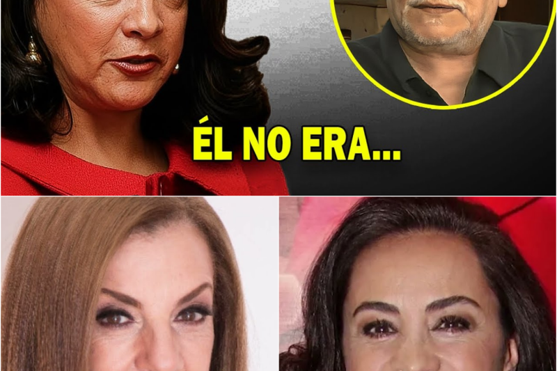 El Secreto Mejor Guardado de Alma Delfina: Por Qué Abandonó la Cima del Éxito a los 64 Años