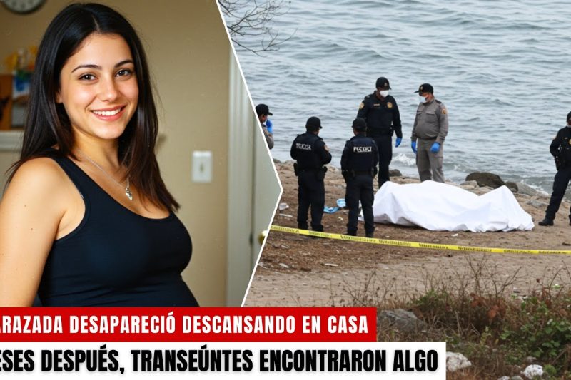 Mujer embarazada desapareció en 2003 descansando en casa – 5 meses después, encontraron algo