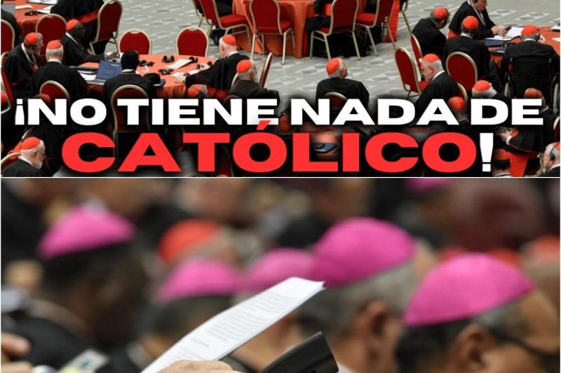 «¡ESTO ES ANTICATÓLICO!» ¡Obispos y fieles se enfrentan al SÍNODO!