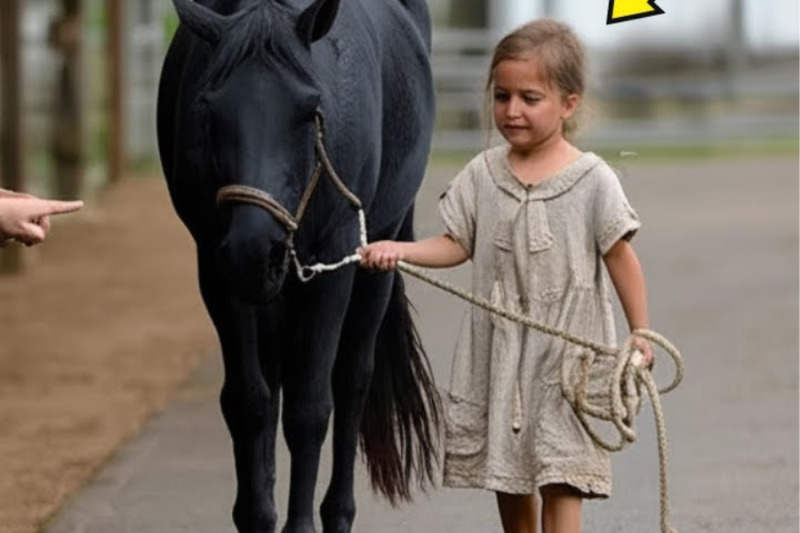 EL HOMBRE RICO SE RIO de la CHICA POBRE por comprar un CABALLO INÚTIL, pero se SORPRENDIÓ cuando…