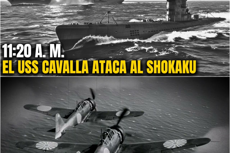 Cómo El USS Cavalla Hundió Al IJN Shokaku — 19 De Junio De 1944