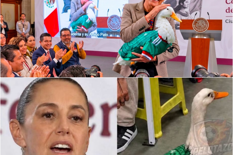 El Corazón de un Pueblo: La conmovedora visita del Pato Merlín a la Mañanera que unió a México y al Mundo