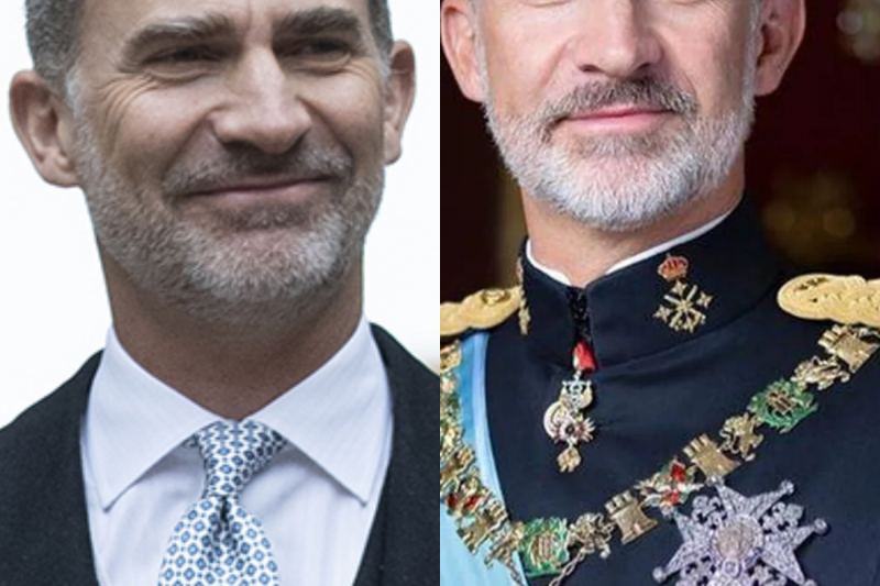 Rey Felipe VI: Creció Sabiendo el Secreto de su Padre… y Tuvo que Desterrarlo