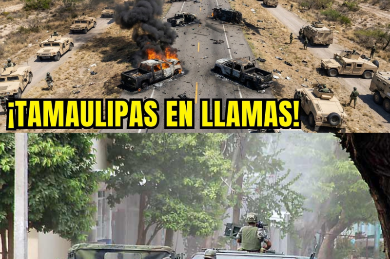 El CJNG Mandó 76 Hombres a Tamaulipas — No Sabían Que los GAFES Ya Tenían la Emboscada Lista