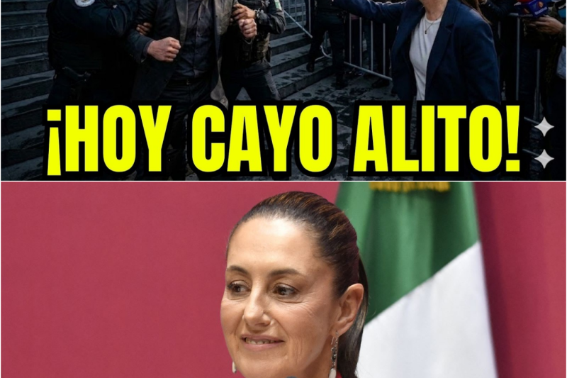 ¡CAE ALITO MORENO! Harfuch le QUITA TODO y Ahora Enfrentara la Ley por Desviar Millones del PRI