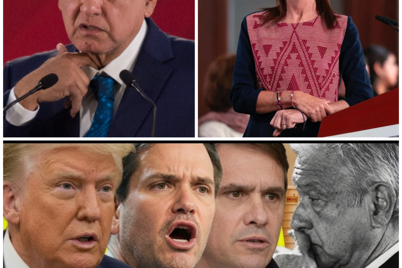 El Juicio del Siglo: La Denuncia contra AMLO ante la Corte Internacional y el Colapso de la Seguridad en México