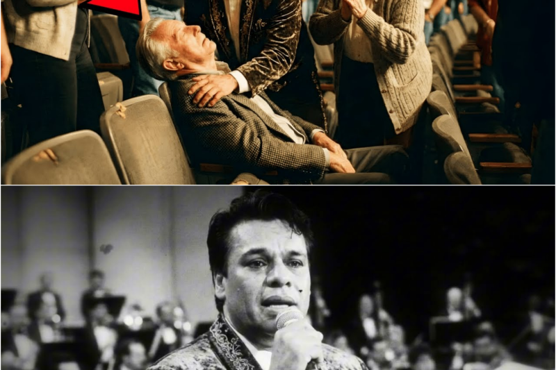 Juan Gabriel DETUVO la Canción a Mitad del Show Cuando Vio a un Anciano Desmayarse Entre el Público