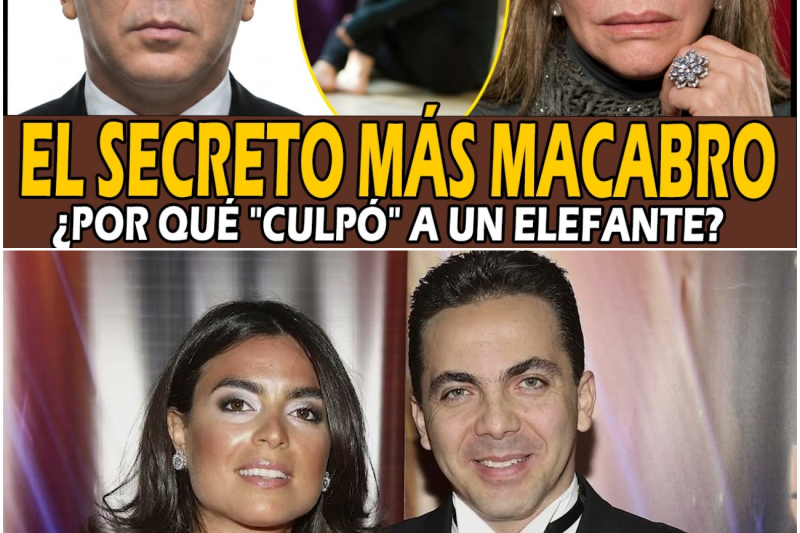 Verónica Castro: 20 Años de MENTIRAS… El ASQUEROSO Ataque de su Propio Hijo y Ella lo ENCUBRIÓ