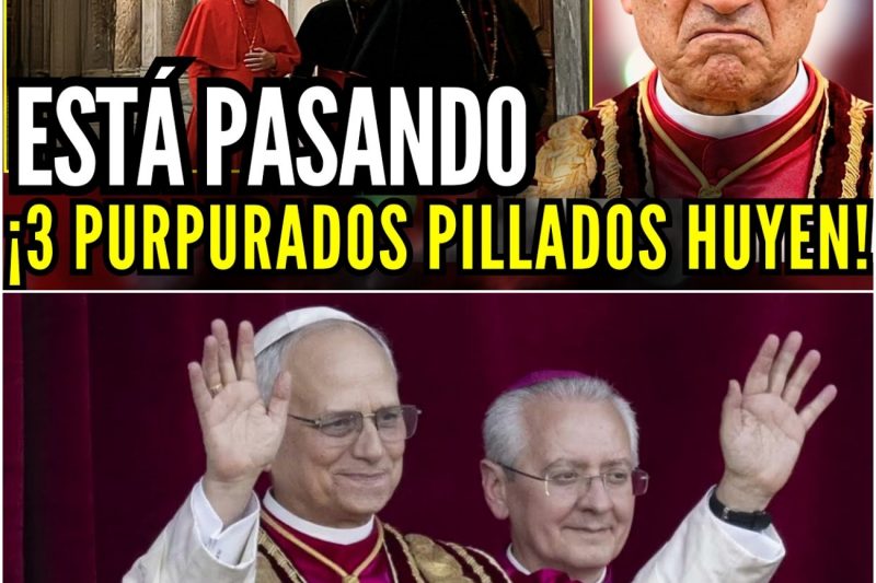 ¡ESCÁNDALO! León XIV ENTRA al Cónclave de Cardenales y 3 Purpurados Abandonan: Nadie los Vio Salir