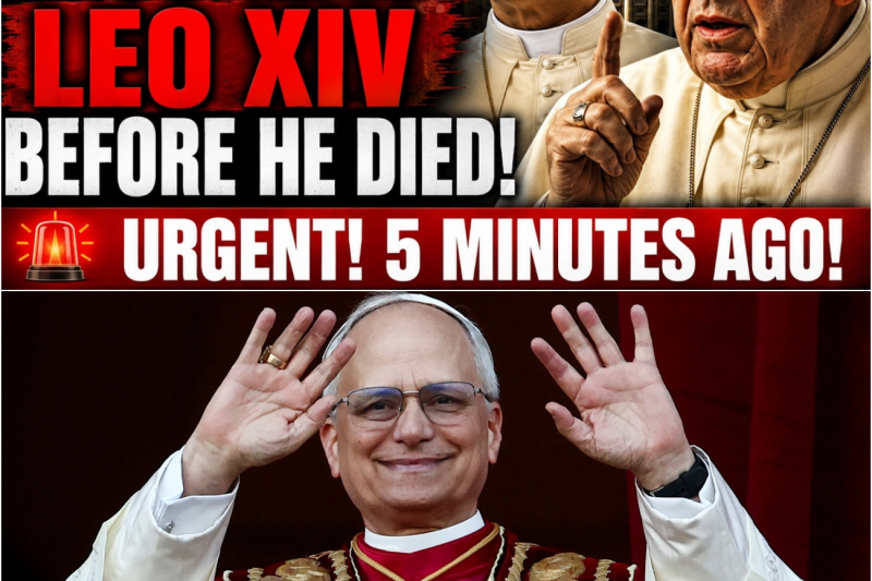 El testamento oculto de Francisco: Las ultimas palabras del Papa fallecido que describen con precision milimetrica el pontificado de Leon XIV