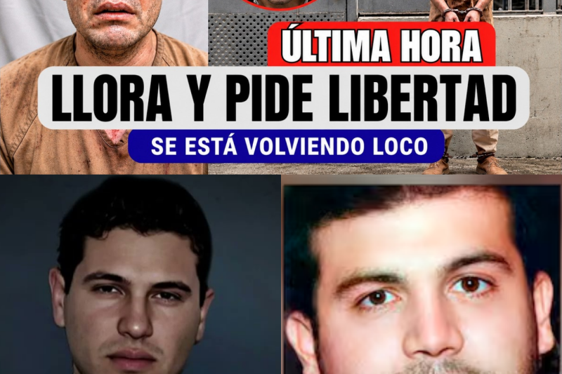 El ocaso del Chapito: La traición que encendió Sinaloa y condenó al heredero del narco