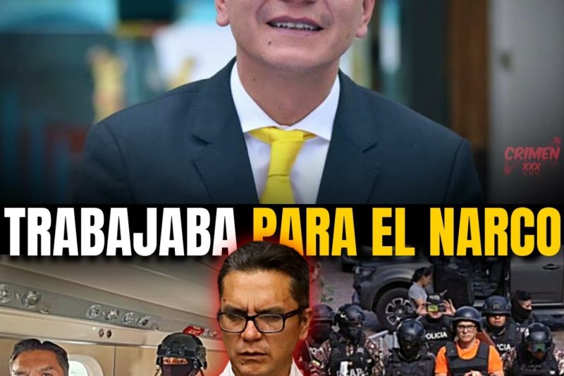 La Caída de Willman Terán: El Presidente de la Judicatura que Vendió la Justicia de Ecuador al Narco