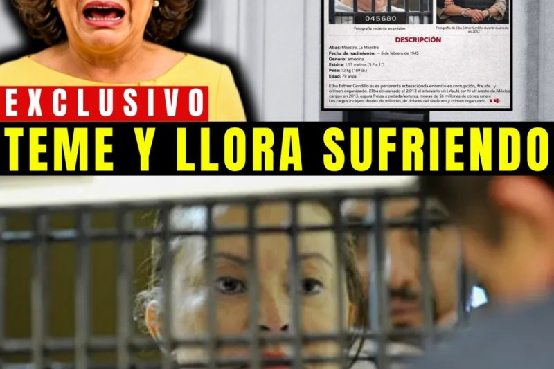 Lo que Elba Esther Gordillo GRITA al ABUSAR de los Necesitados: Señales y Medio Camino ENCARCELADA