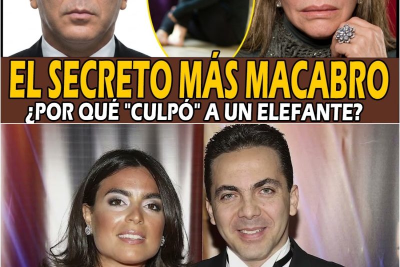 Verónica Castro: 20 Años de MENTIRAS… El ASQUEROSO Ataque de su Propio Hijo y Ella lo ENCUBRIÓ
