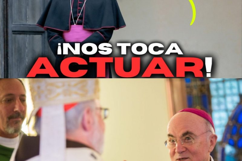 El ÚLTIMO LLAMAMIENTO de VIGANÒ a los FIELES: «¡No abandonen la batalla!»