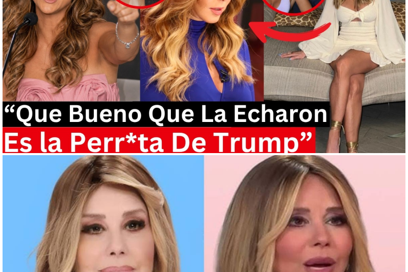 La Caída y el Renacer de Myrka Dellanos: Traiciones, Escándalos Políticos y un Pasado Amoroso que Estremece a la Televisión Hispana
