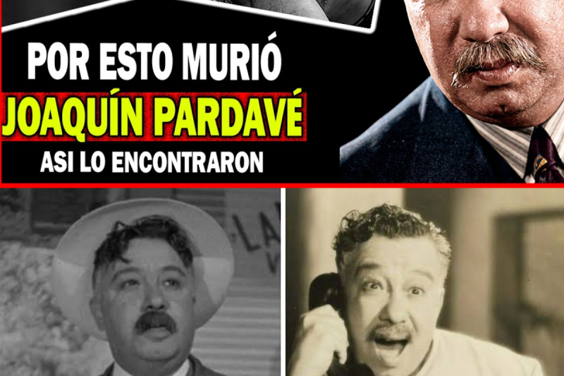 Trágica y Misteriosa Muerte de Joaquín Pardavé, Homem Orquestra: Lo que Nunca nos Contaron