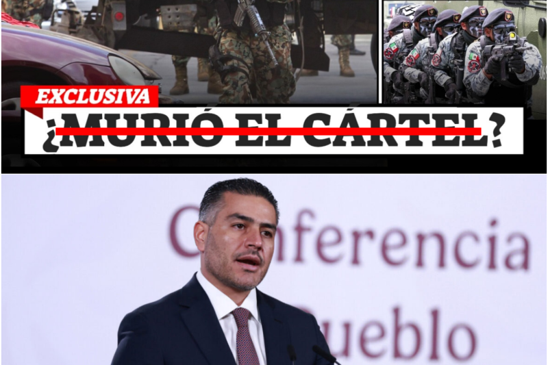El Ocaso de los Intocables: Cómo la Caída de 14 Capos y la Operación Enjambre Están Cambiando la Historia de México
