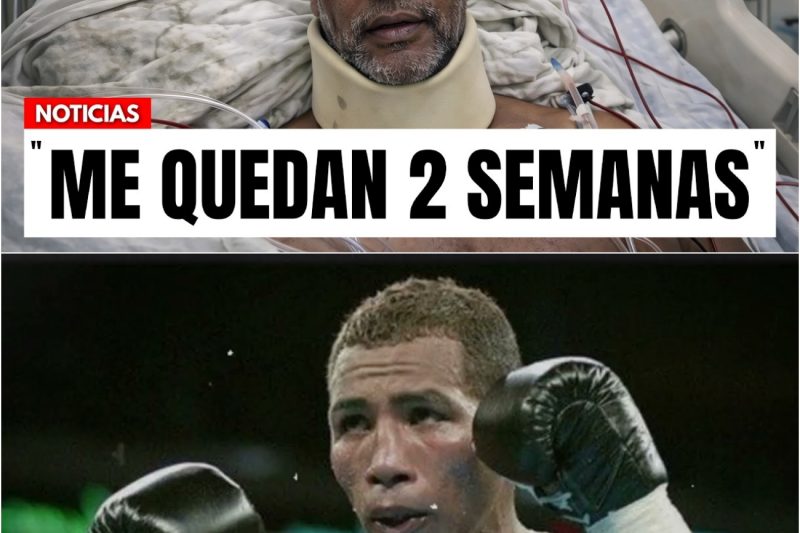 El Trágico Final de Ricardo Mayorga, a sus 52 Años..
