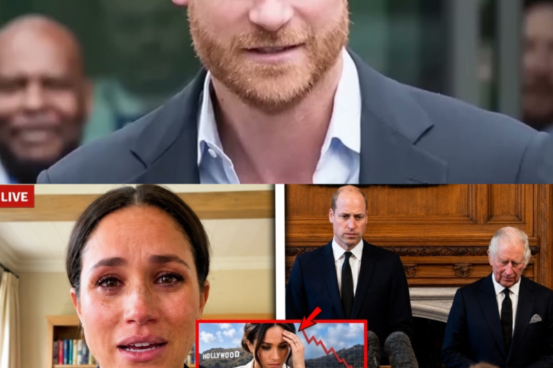 El colapso de un imperio de papel: Cómo los números y las demandas judiciales desarmaron la narrativa de Meghan Markle y el príncipe Harry