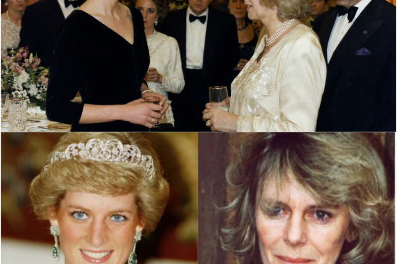 El Momento Decisivo: Cuando la Princesa Diana Encaró a Camilla y Sacudió los Cimientos de la Monarquía