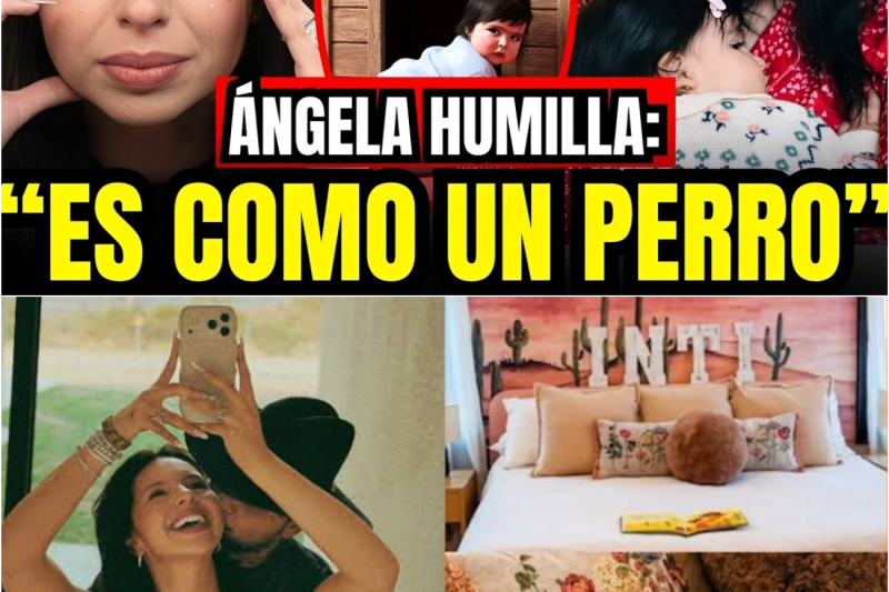 El Cuarto de la Discordia: Cómo la Foto de un Perro Destruyó la Imagen de Ángela Aguilar y Coronó el Silencio de Cazzu como la Mejor Venganza