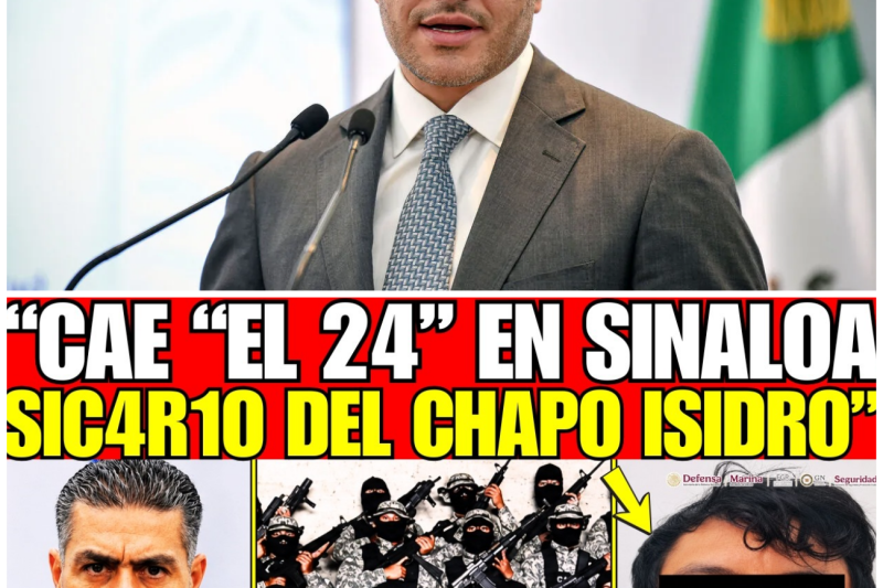 ¡HARFUCH DETUVO a “EL 24” S1C4RIO del CHAPO ISIDRO en SINALOA; CAEN 11 DELINCUENTES EN OPERATIVO!