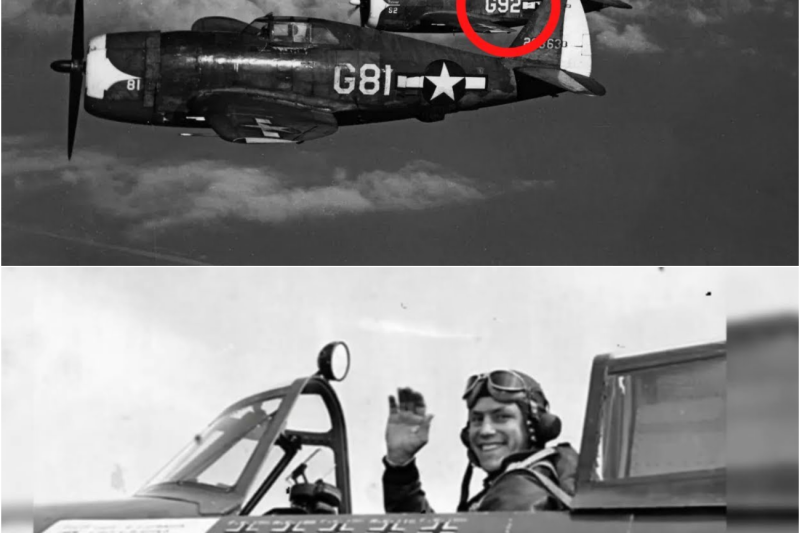 Los pilotos alemanes se burlaron del P-47 Thunderbolt… hasta que sus ocho .50 llovieron plomo
