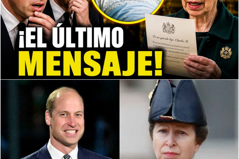 El Ocaso de los Privilegios: La Cruel Reforma del Rey Carlos que ha Fracturado la Dinastía Windsor