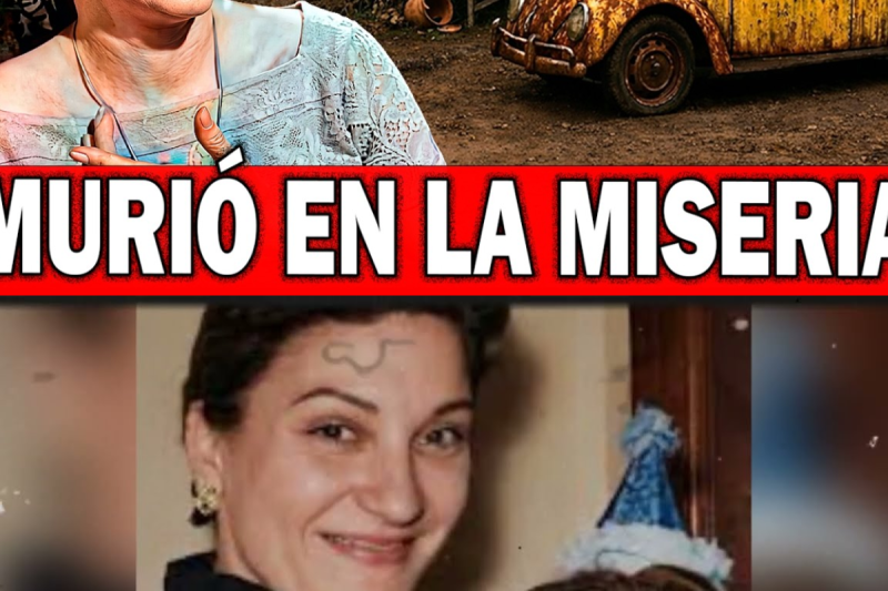¿Por qué Fanny Kauffman murió en la miseria? La injusticia con Vitola