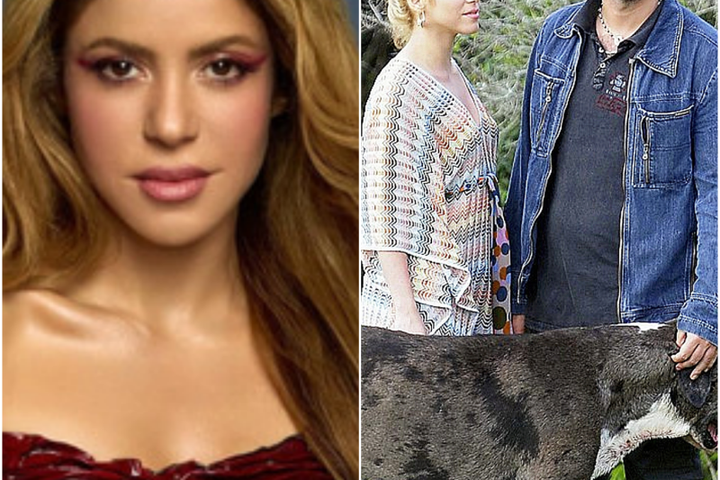 El Regreso de la Traición: La Nueva Pesadilla Legal de Shakira con Antonio de la Rúa en la Cima de su Éxito Mundial