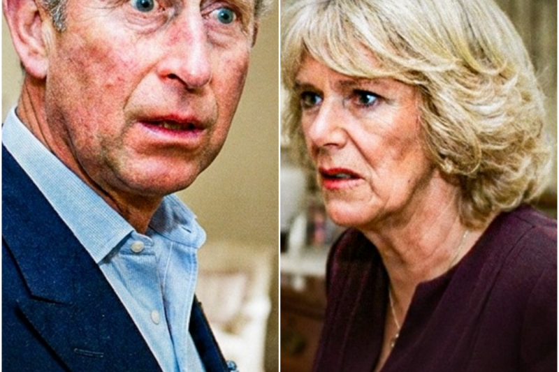 Carlos Encontró Por Casualidad A Camilla En La Habitación De Diana — Esto Fue Lo Que Descubrió