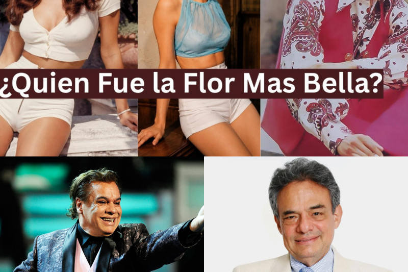 Las 40 voces inmortales de los años 70 en español: Un viaje nostálgico al sentimiento, el drama y la gloria musical de una década de oro