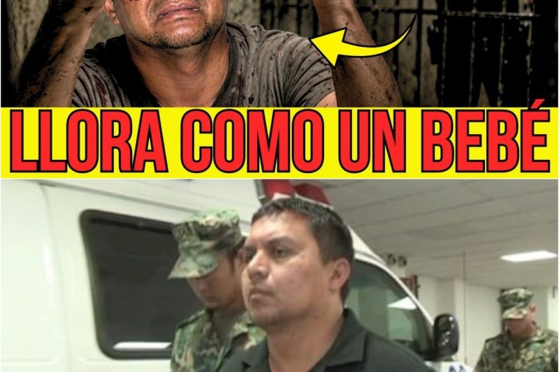 Así Vive el Z-40 en La Cárcel: Llora, Pasa Hambre y Suplica al Juez Libertad
