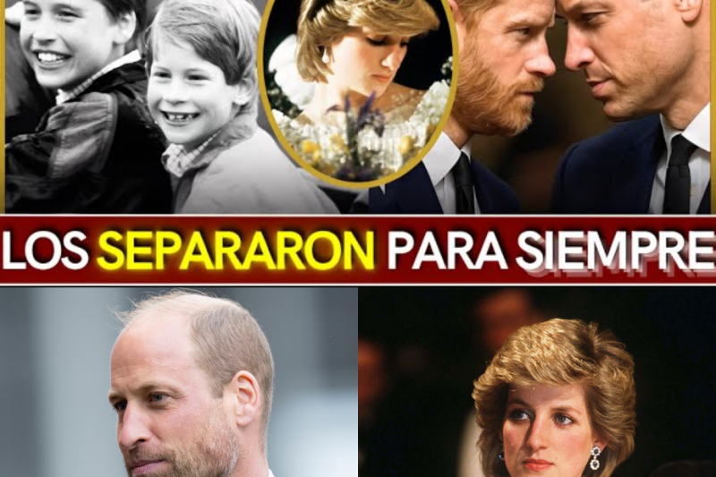 El trauma de Diana: La historia detrás del abismo entre William y Harry