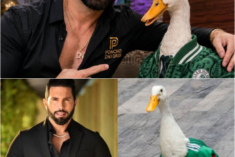 Poncho de Nigris revoluciona el entretenimiento digital con una millonaria oferta por el Pato Merlín para convertirlo en el símbolo oficial de Ring Royale