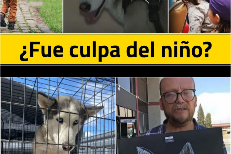 El Drama de Sasha y el Niño Herido: La Verdad Oculta que Dividió a Ciudad Juárez y el Peligroso Límite entre la Inocencia y la Tragedia
