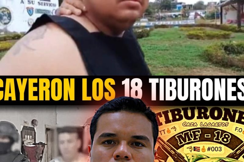 La Caída Alias Samir: De Contador a Capo del Narcotráfico en Ecuador