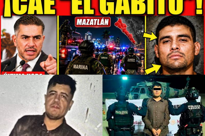 El fin de una era: El sur de Sinaloa se tambalea tras la captura de “El Gabito”
