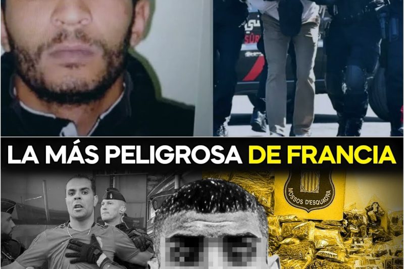 DZ Mafia: La Banda que Aterroriza el Sur de Francia