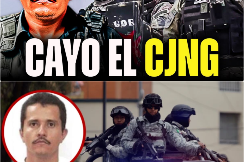 El Escándalo que Desnudó la Fama: La Traición, el Desamor y el Costo Oculto de los Romances Fugaces bajo los Reflectores